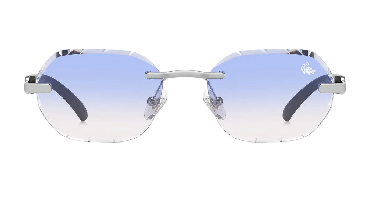 Belvoir Willow Ice Silver | Black
