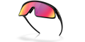 Oakley · RSLV